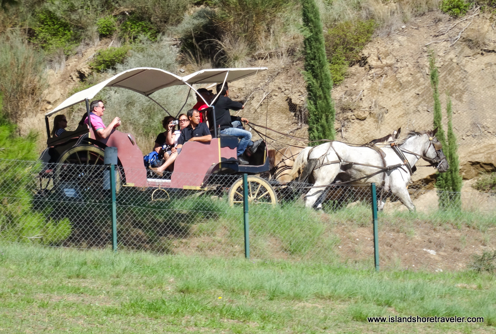 Horse and Carriage Ride around Ancient Olympia site